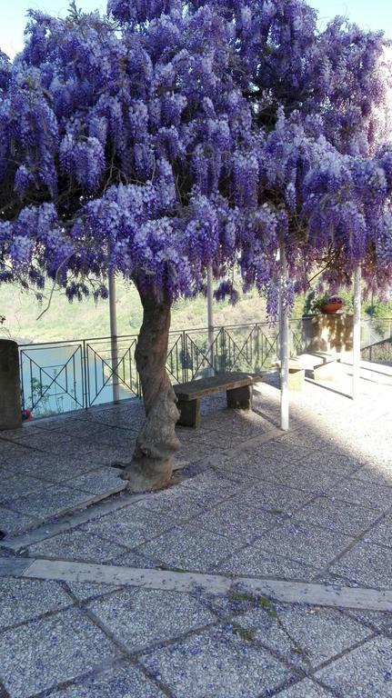 La Casa Di Milady Bed & Breakfast Genzano di Roma Exterior photo